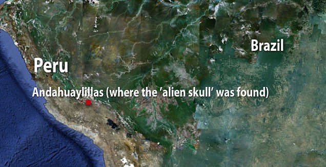 Where the skull was found